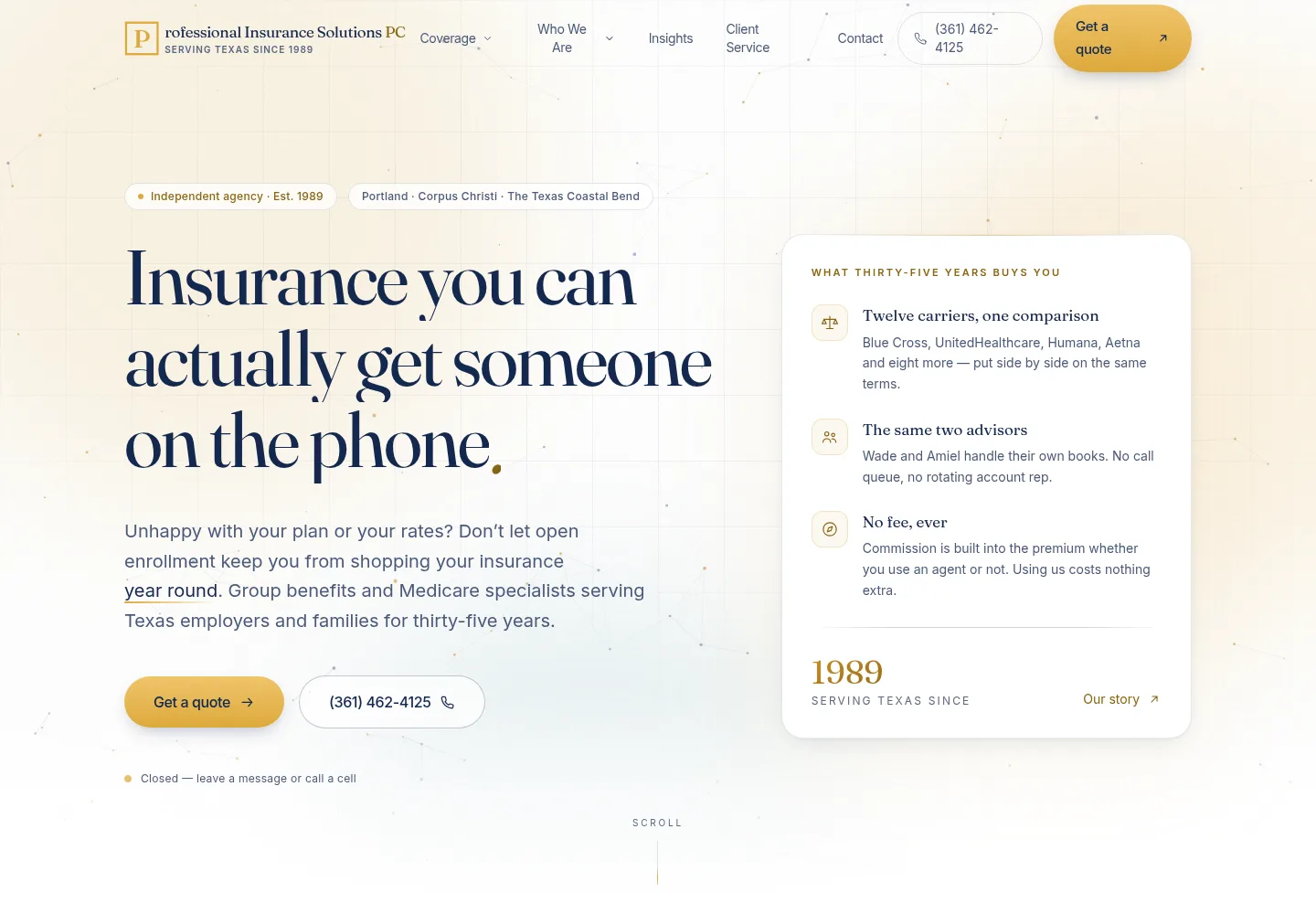 Professional Insurance Solutions website built by NSR